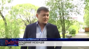 03.06.2020 Адвокат Владимир Мезенцев о жалобах на аварийные деревья